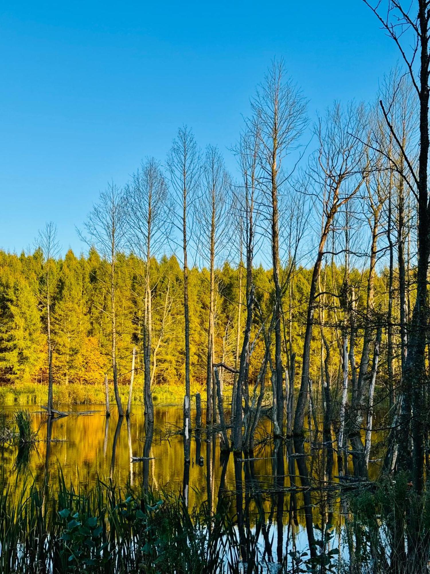 Folwark Wierzchy Exteriér fotografie