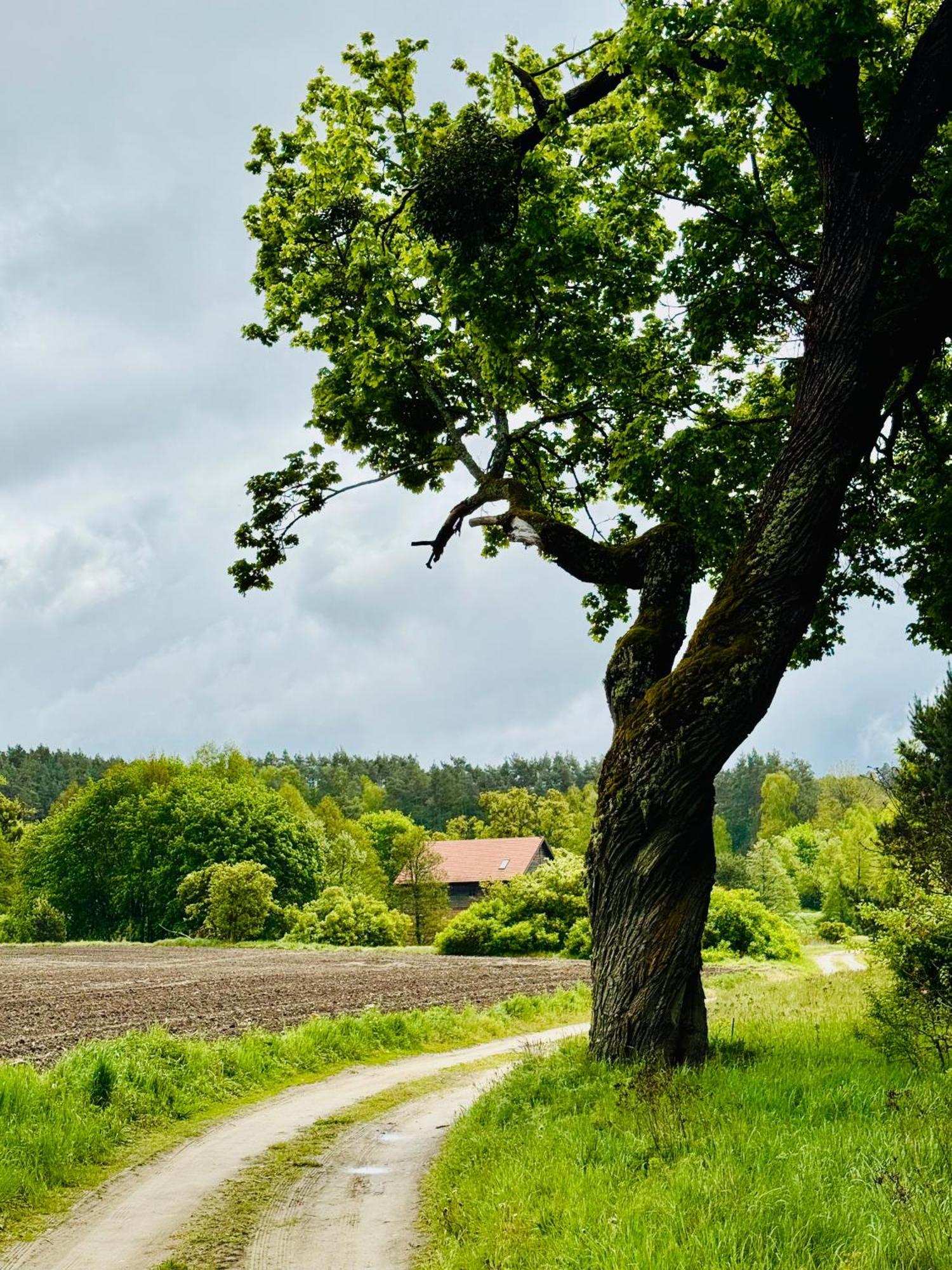 Folwark Wierzchy Exteriér fotografie